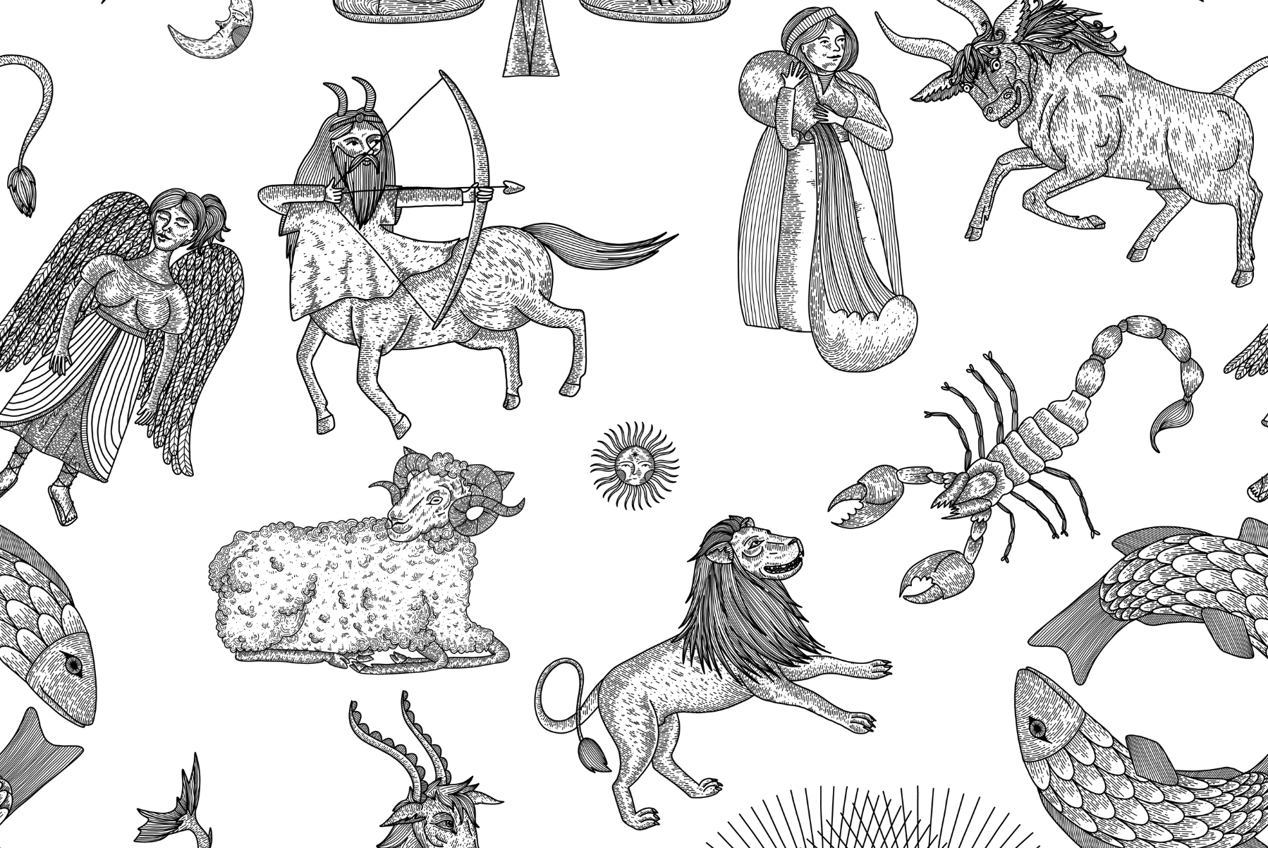 Astrology Explained: The Zodiac Signs