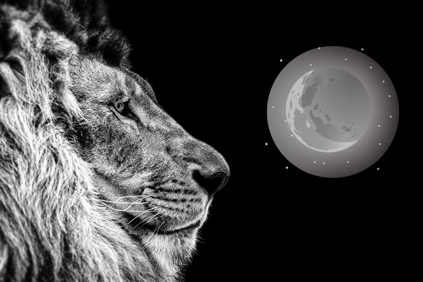 The Lion's Gate New Moon Brings Abundance