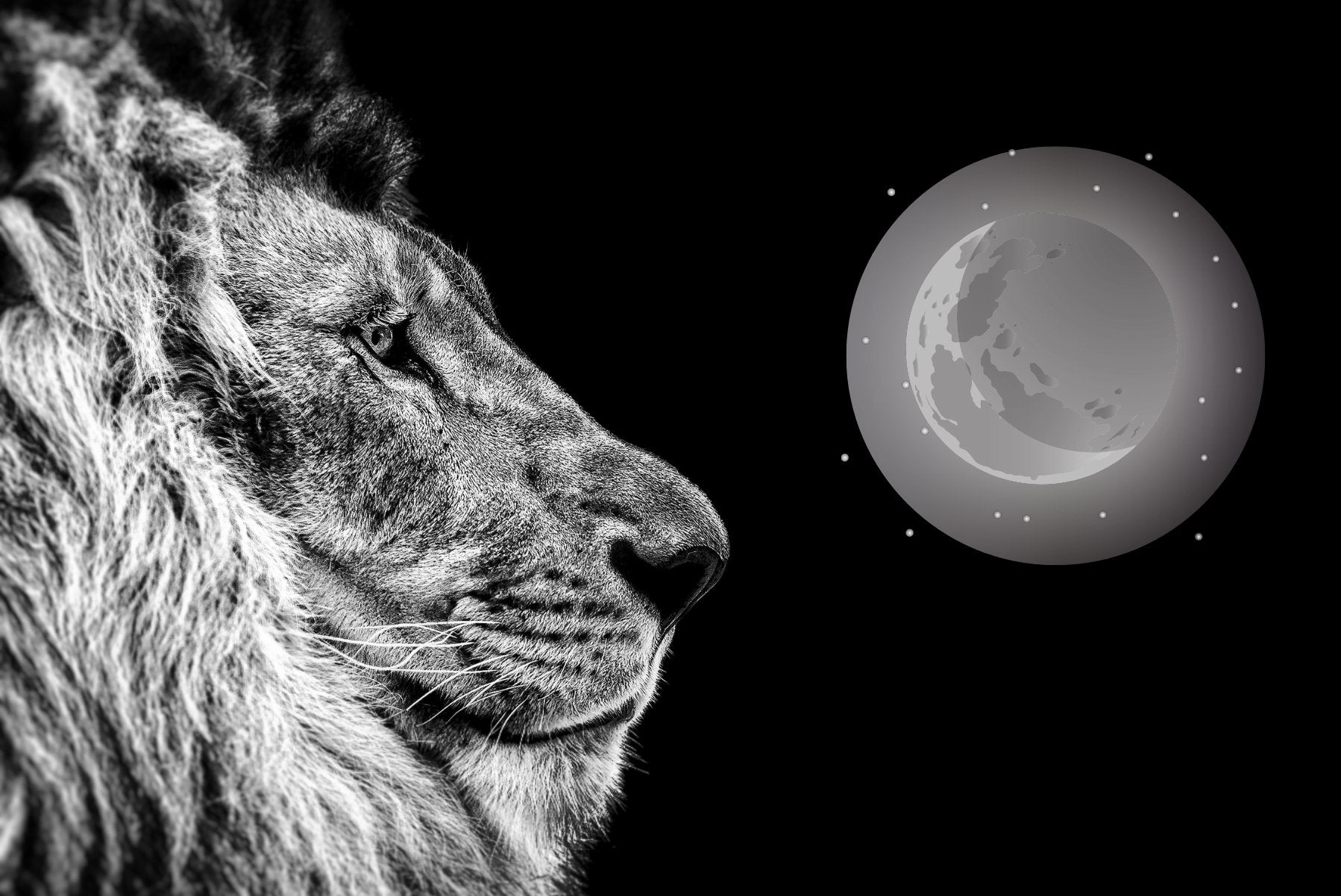 The Lion's Gate New Moon Brings Abundance - Divine Feminine Works