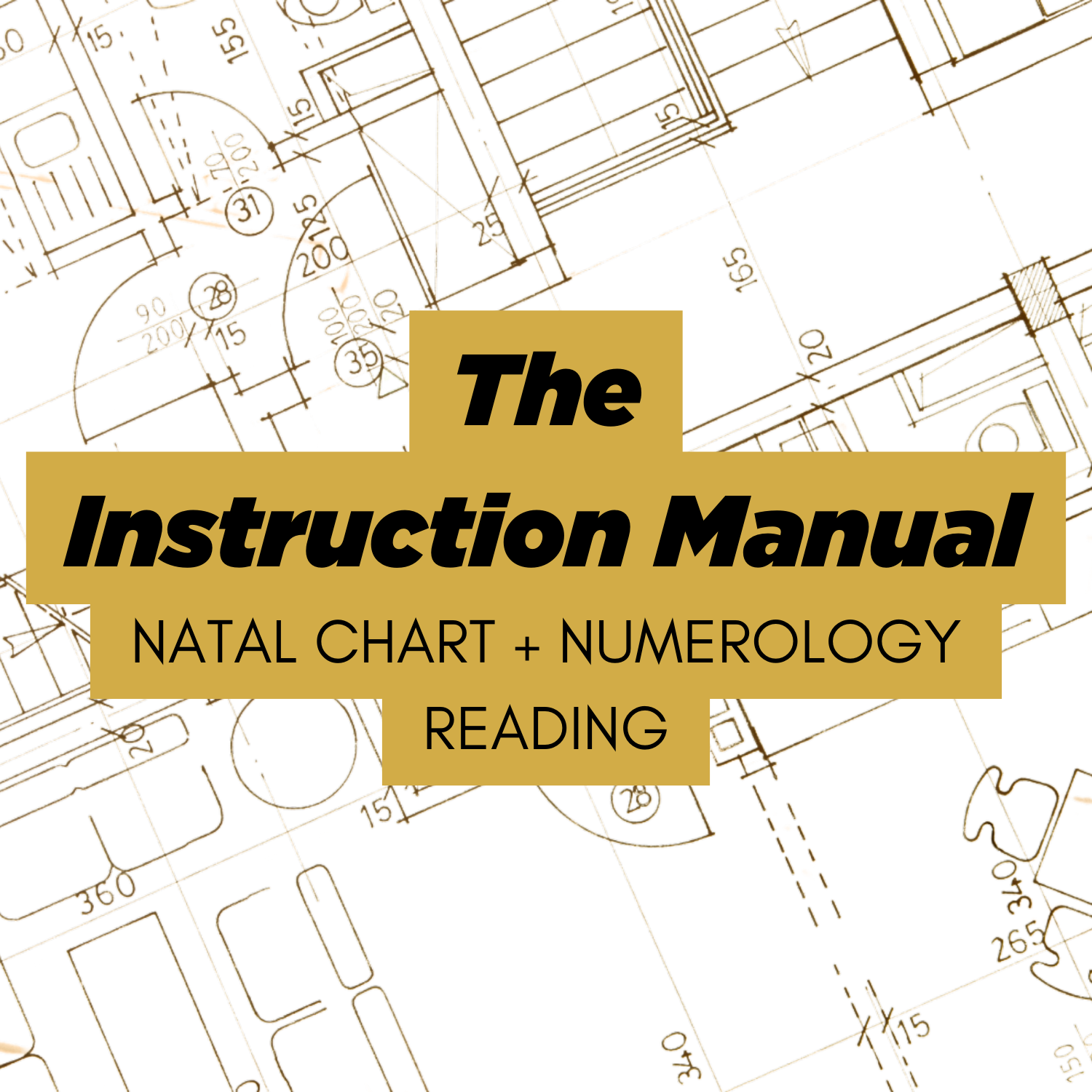 The Instruction Manual | Natal Chart + Numerology Reading