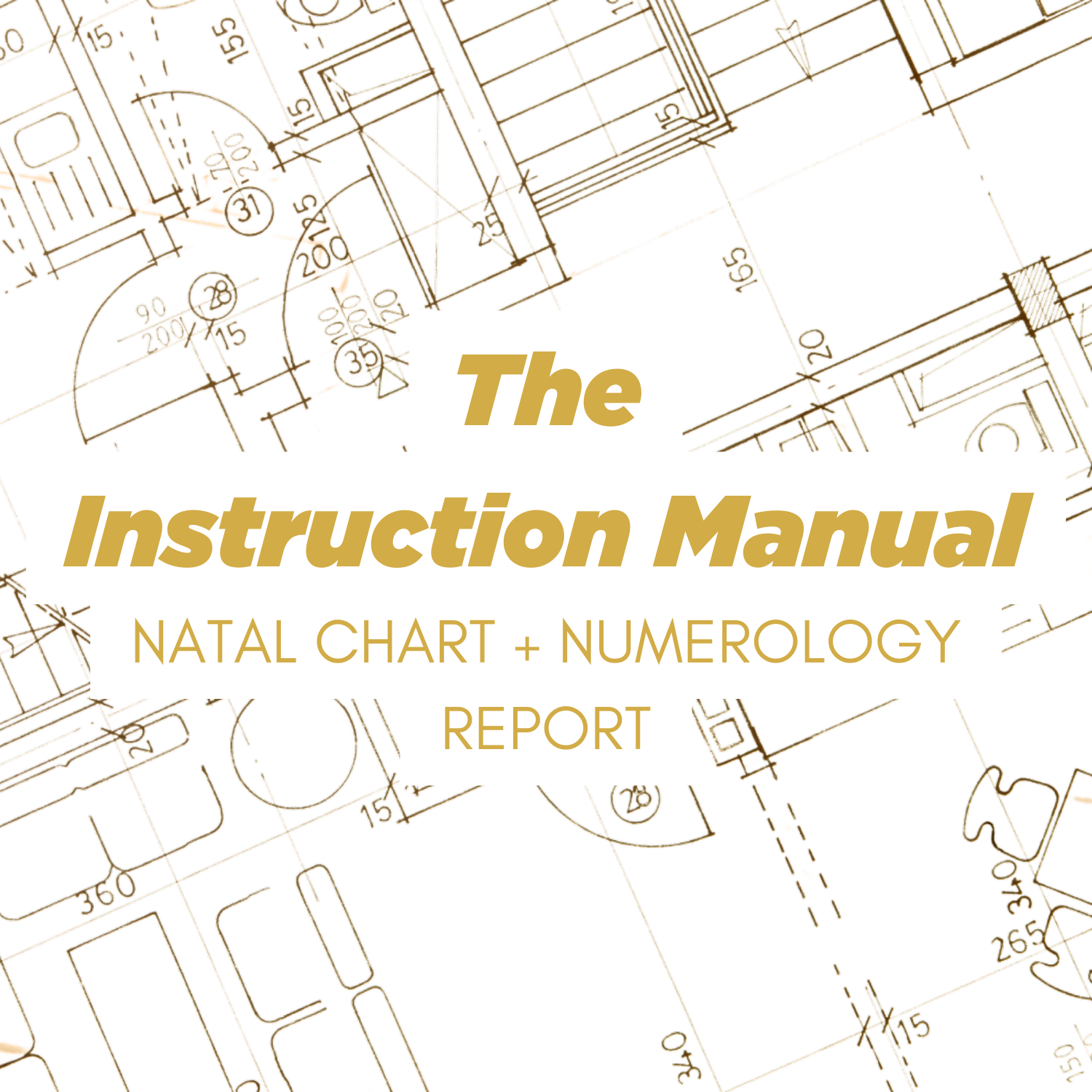 The Instruction Manual | Natal Chart + Numerology Report