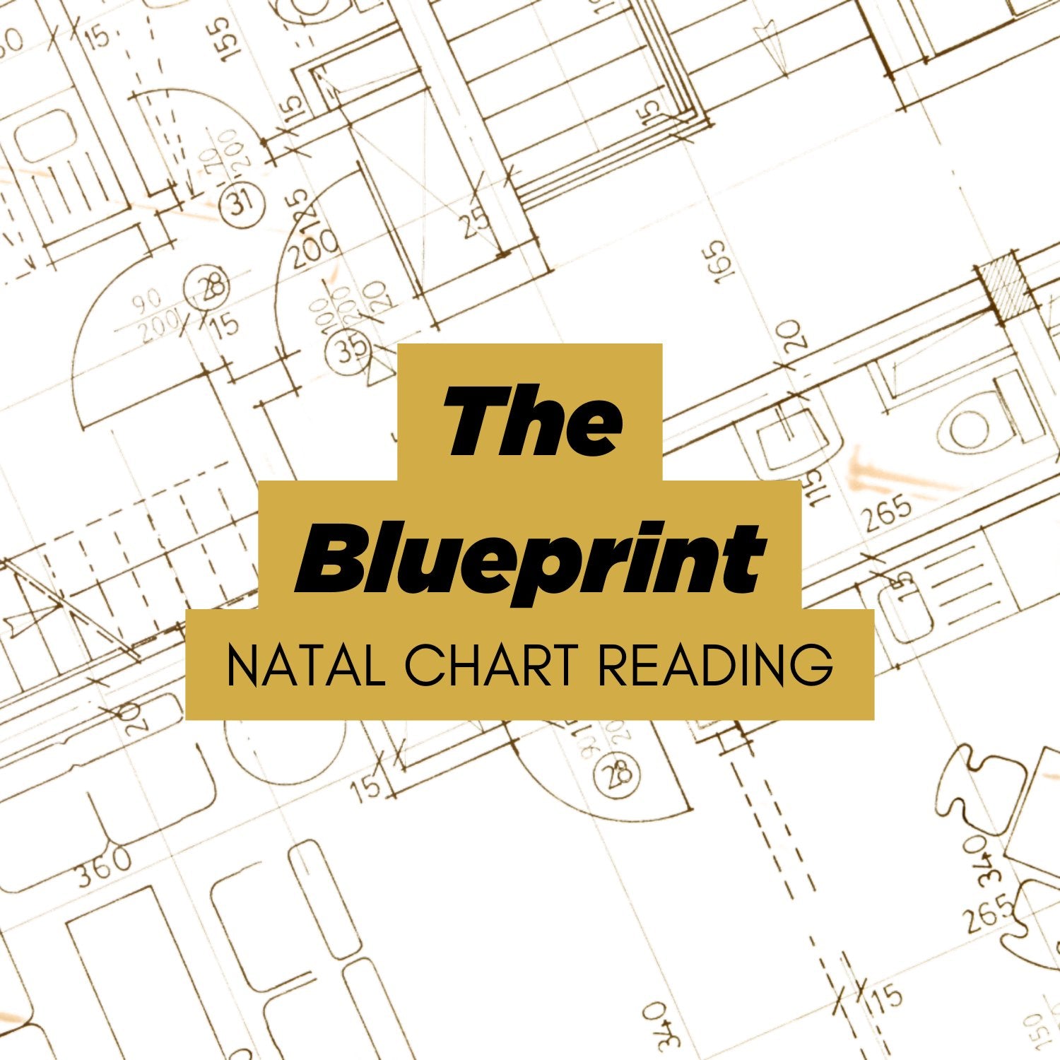 The Blueprint | Natal Chart Reading - Divine Feminine Works