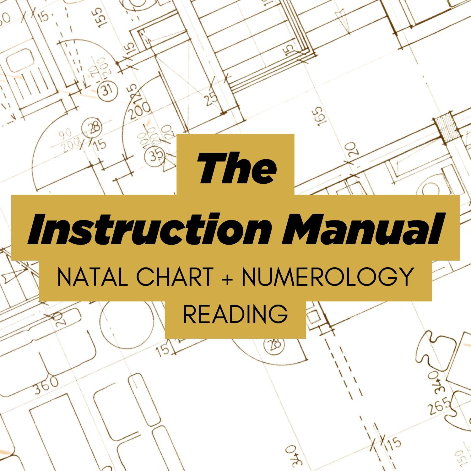 The Instruction Manual | Natal Chart + Numerology Reading - Divine Feminine Works